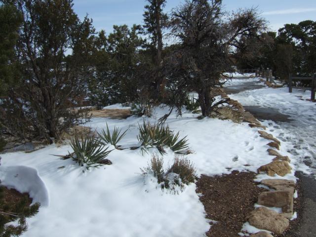 DSCF5111.JPG