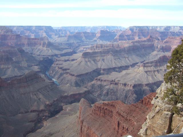 DSCF5116.JPG