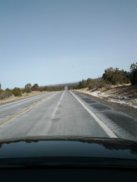 IMG_20120229_102436.jpg