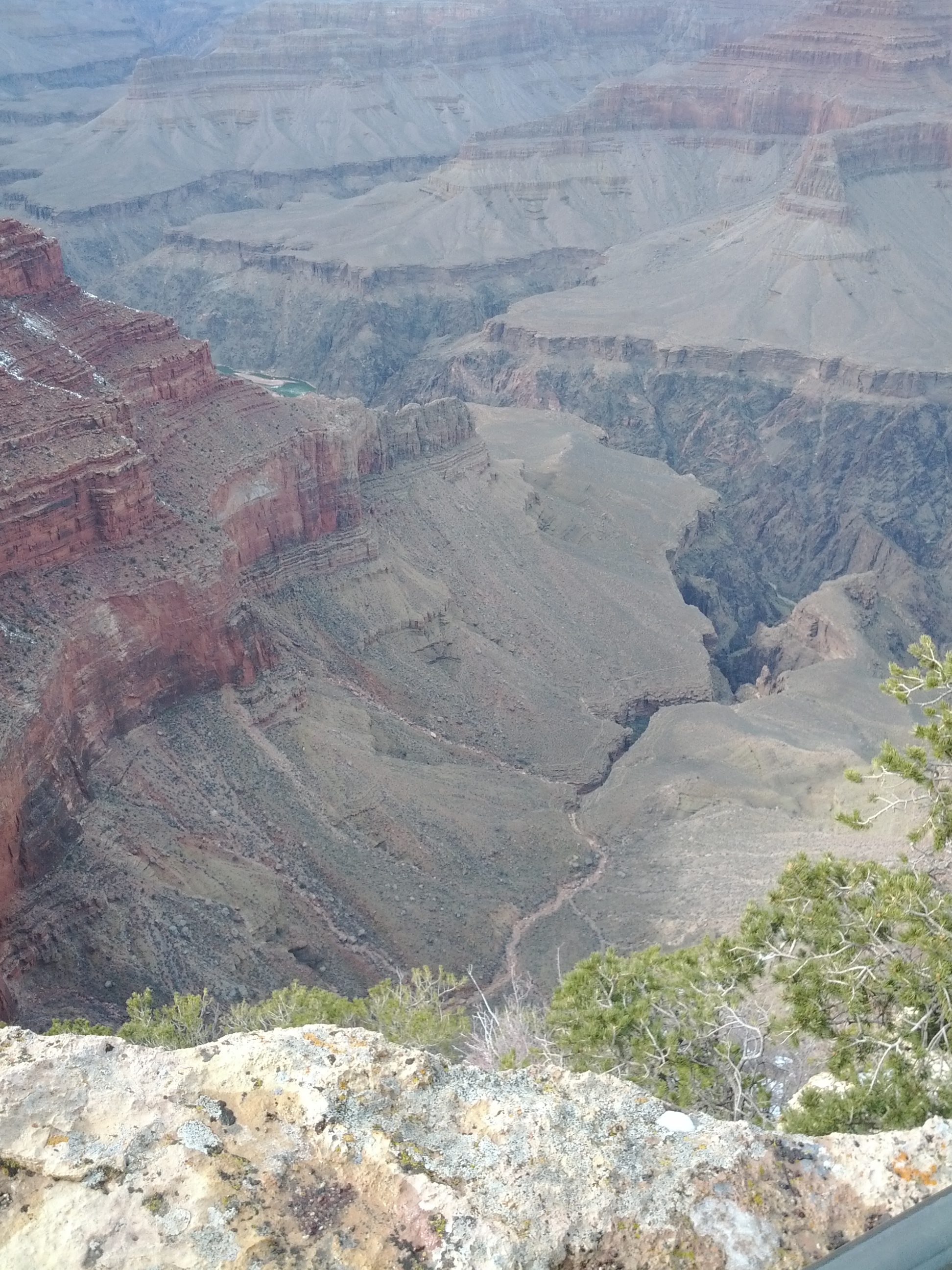 IMG_20120229_145955.jpg