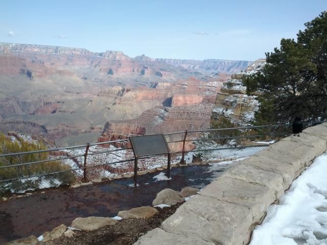 IMG_20120229_150147.jpg