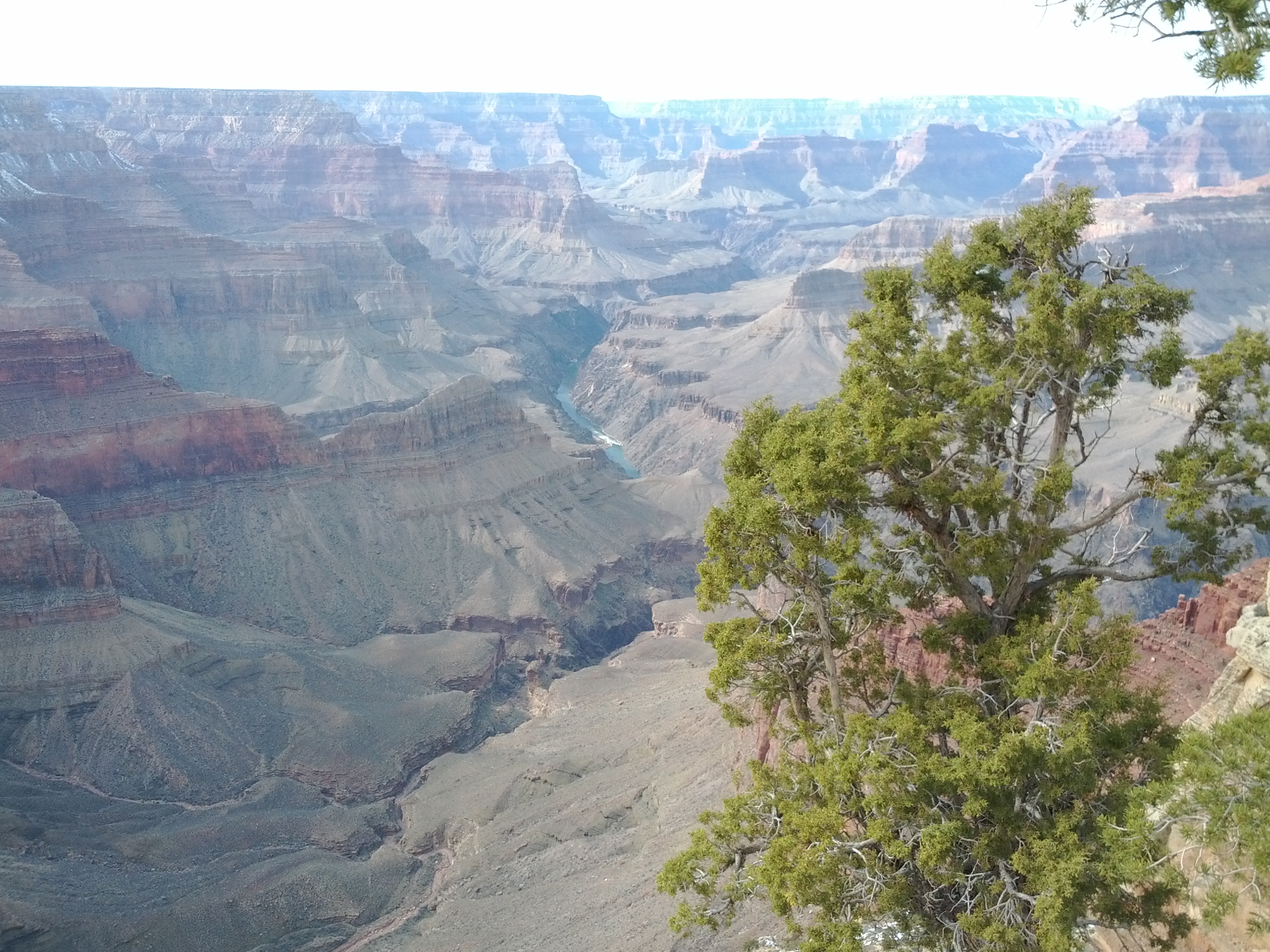 IMG_20120229_151812.jpg