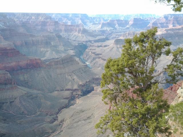IMG_20120229_151812.jpg