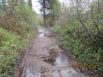 End of Issac portage 3