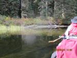 Upper Bowron River